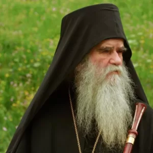 vidovdan_amfilohije