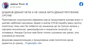 jelena-trivic5-sfera-medija