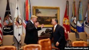 orban-izbori-sfera-medija
