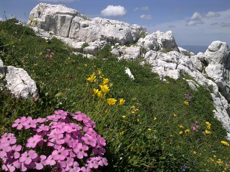 hercegovina-granit-sfera-medija