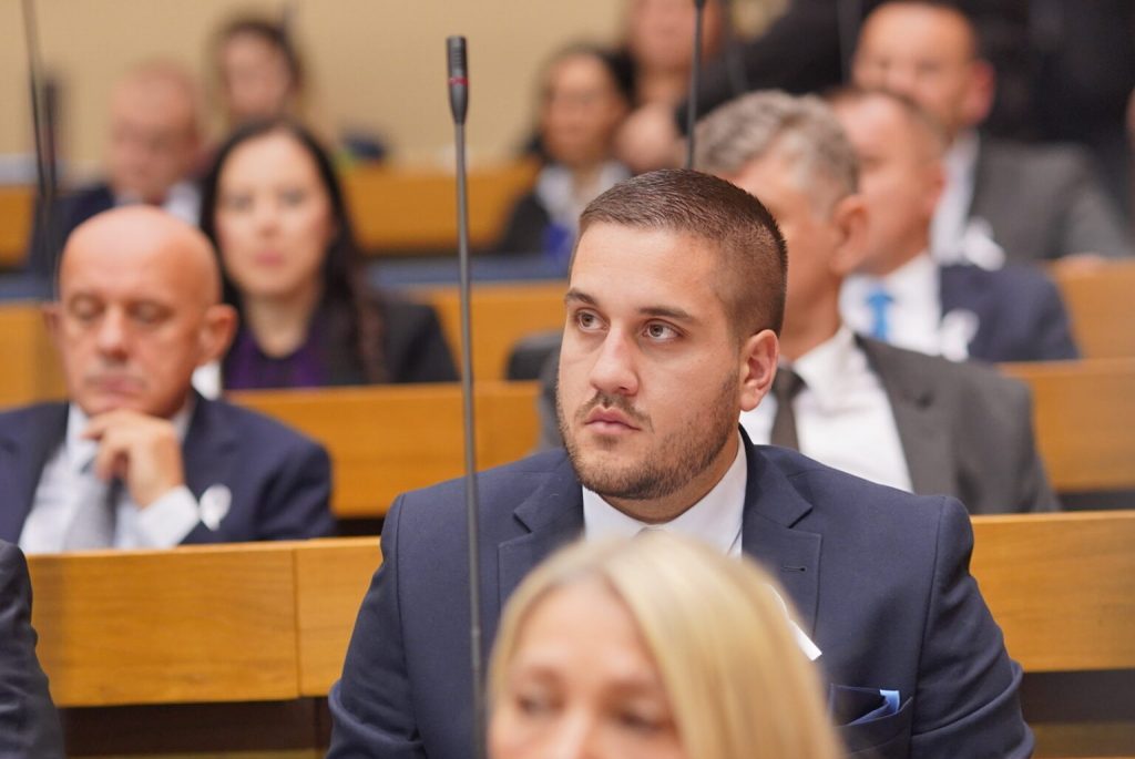 drinic-program-vlade